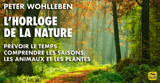 L'Horloge de la nature